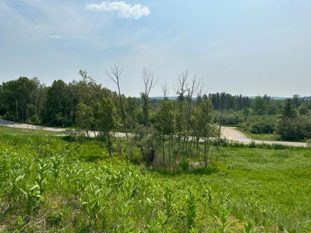 TBD Gordon St, Soudan, MN 55782