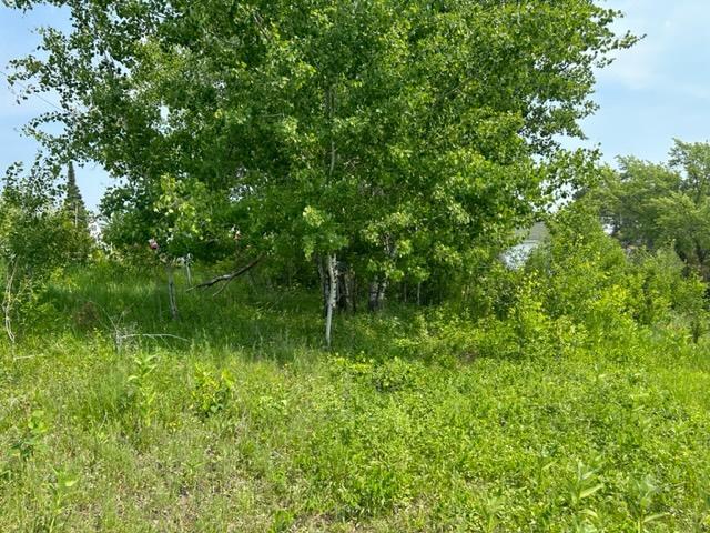 TBD Gordon St, Soudan, MN 55782