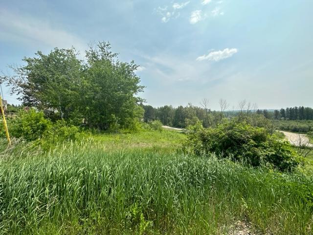 TBD Gordon St, Soudan, MN 55782