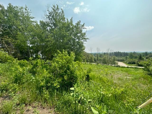 TBD Gordon St, Soudan, MN 55782