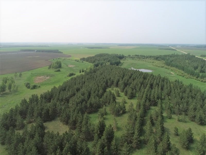 TBD Co Hwy 44, Ponsford, MN 56575