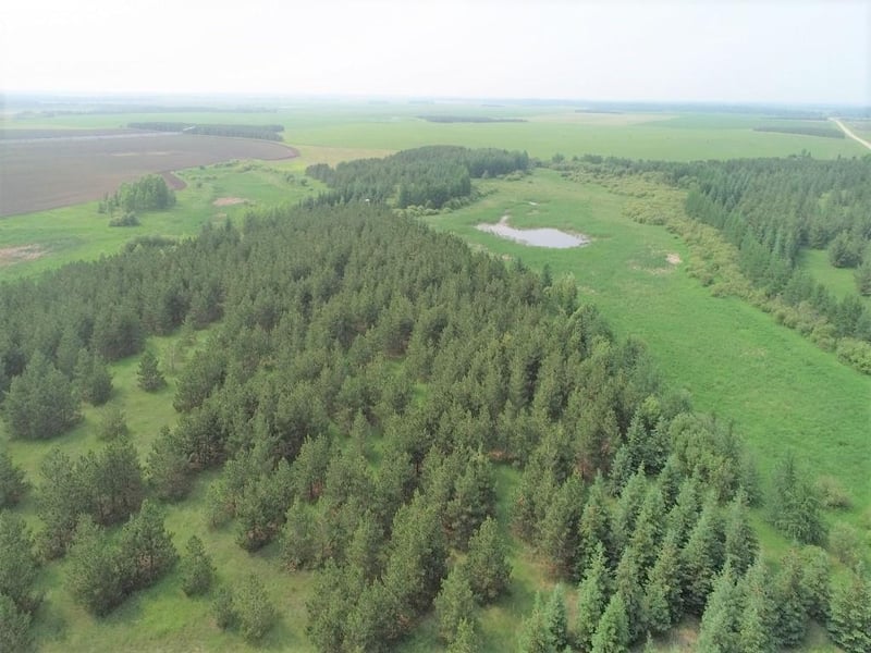 TBD Co Hwy 44, Ponsford, MN 56575