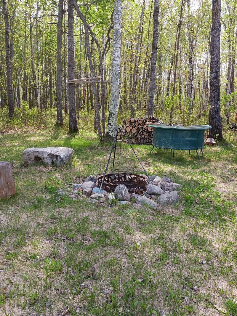 xxxx Buckboard Rd, Bagley, MN 56621