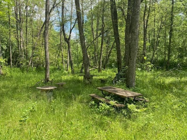 TBD 282nd Pl, Palisade, MN 56469
