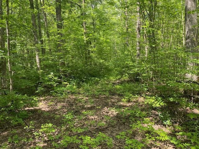 TBD 282nd Pl, Palisade, MN 56469