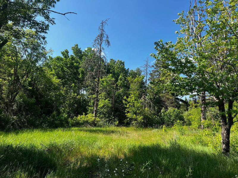 31327 170th St, Akeley, MN 56433