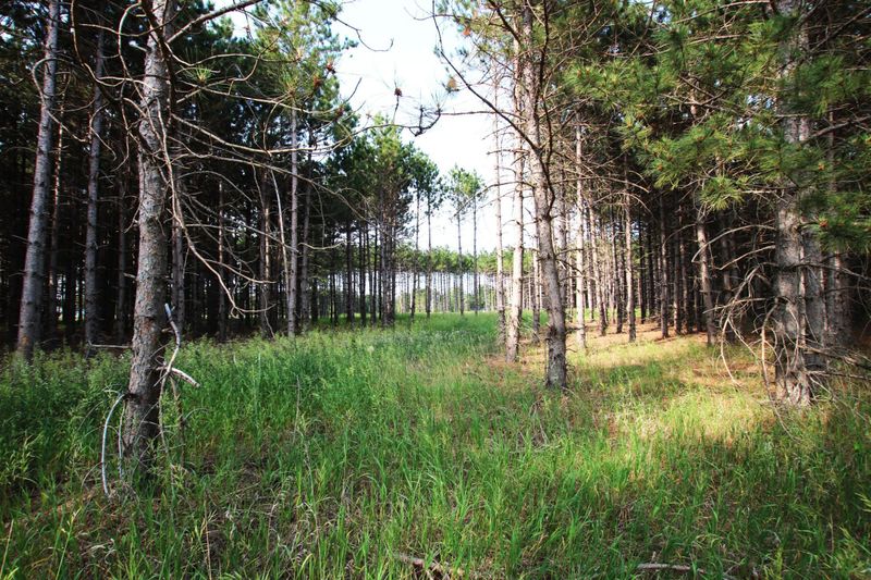 Lot 4 Vogel Dr, Staples, MN 56479