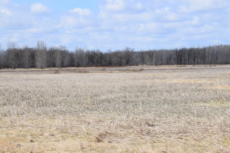 000 150th St NE, Goodridge, MN 56725