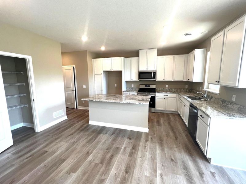 13817 Kaylemore Trl, Rosemount, MN 55068