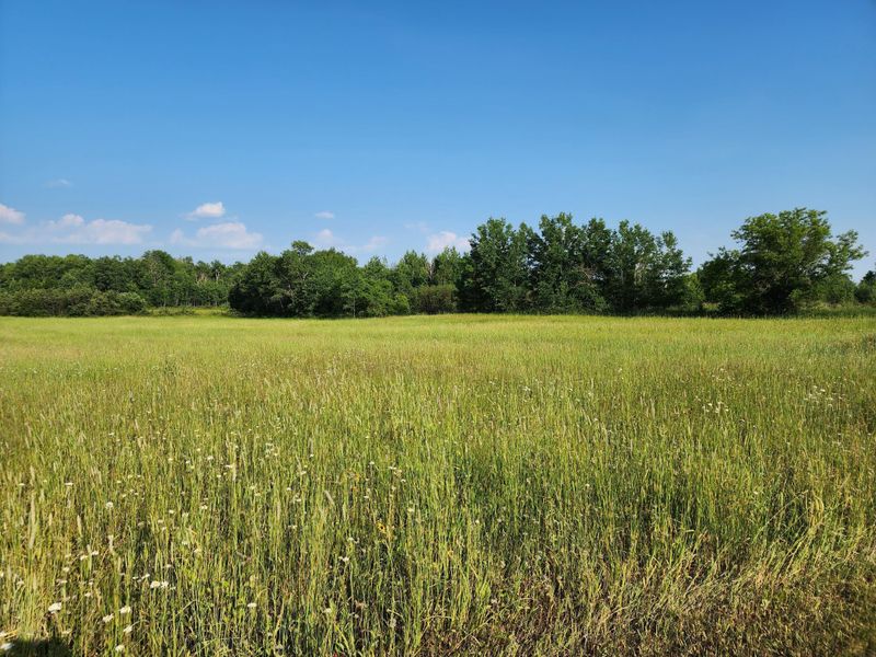 000 Beaver Claw Rd, Brook Park, MN 55007
