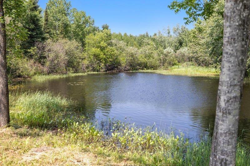 3917 S Barker Rd, Gilbert, MN 55741