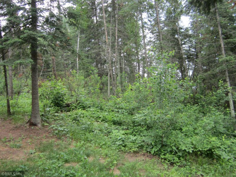 21159 Jewel Dr, Park Rapids, MN 56470