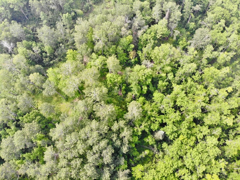 XYZ County Road 8, Moose Lake, MN 55767