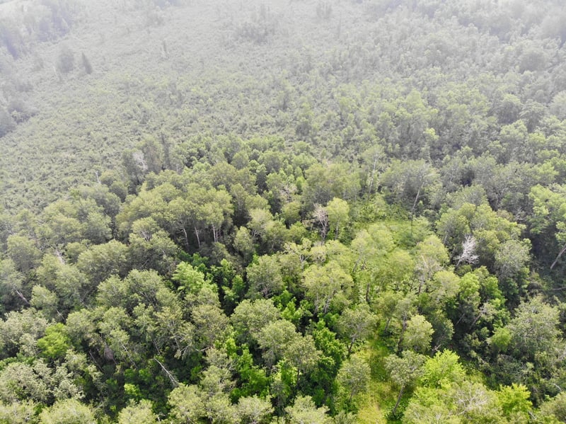 XYZ County Road 8, Moose Lake, MN 55767