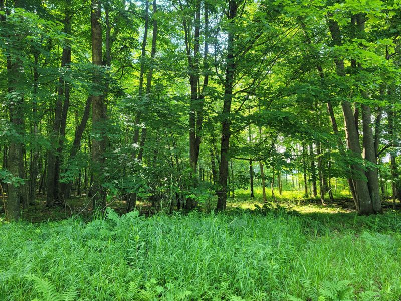 00 Pleasant View Trl, New Auburn, WI 54757