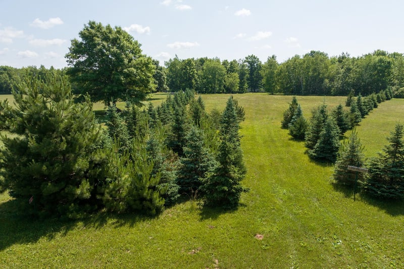 N822 Flowing Water Rd, Bruce, WI 54819