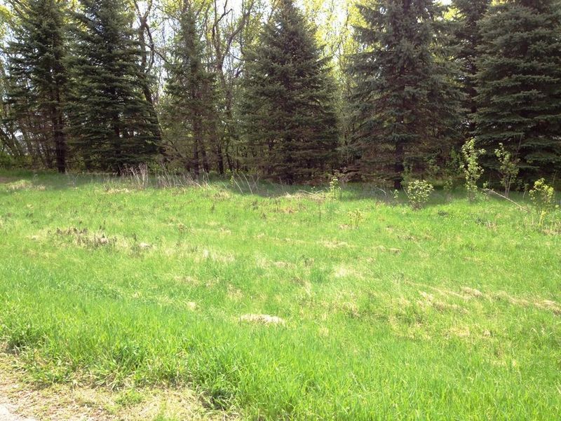 40507 Pine View Dr, Sauk Centre, MN 56378
