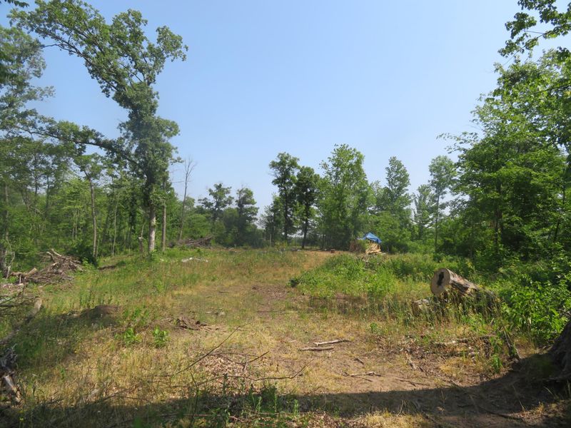1XXXX Liberty St, Mora, MN 55051