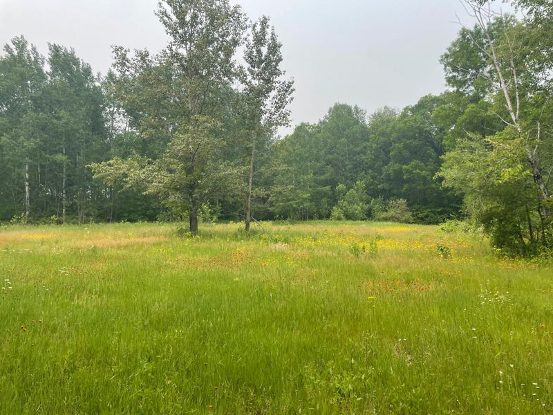 28353 378th St, Aitkin, MN 56431