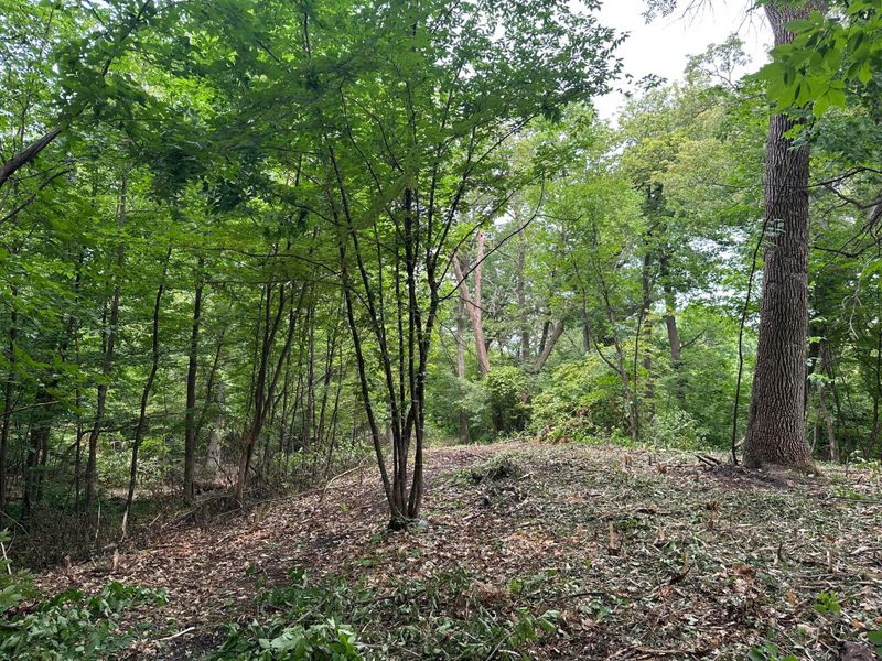 Lot 2 Rolling Oaks Est, Underwood, MN 56586