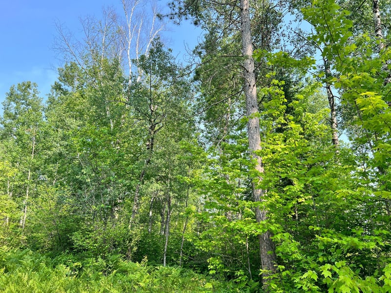 00 Minnesuing Acres Dr, Lake Nebagamon, WI 54849
