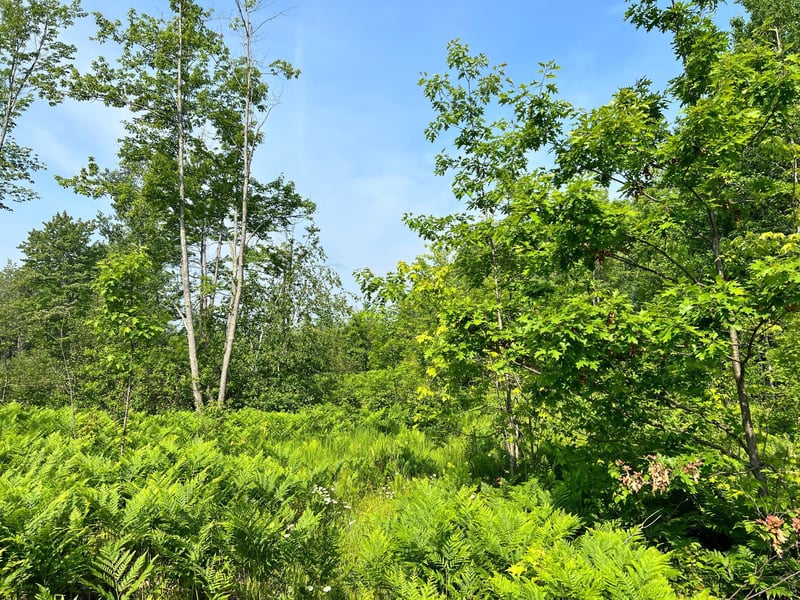 00 Minnesuing Acres Dr, Lake Nebagamon, WI 54849