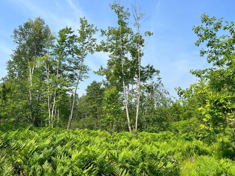 00 Minnesuing Acres Dr, Lake Nebagamon, WI 54849