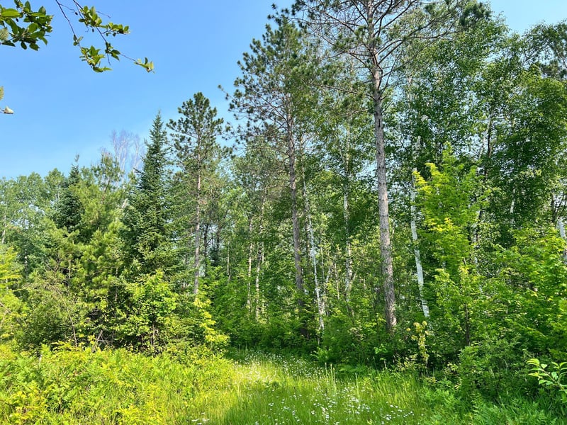 00 Minnesuing Acres Dr, Lake Nebagamon, WI 54849