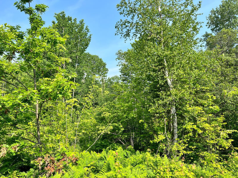 00 Minnesuing Acres Dr, Lake Nebagamon, WI 54849