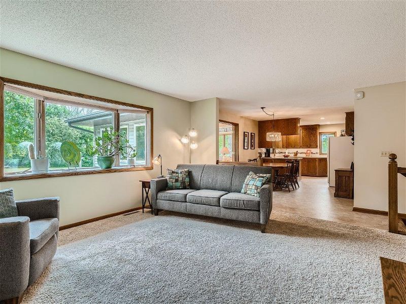 20017 Abilene Ln, Hamel, MN 55340