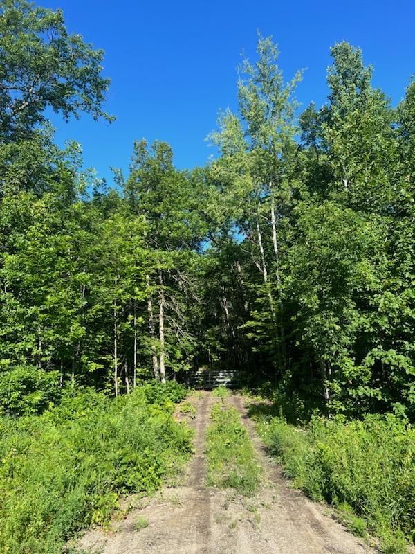 7557 Onigum Rd NW, Walker, MN 56484