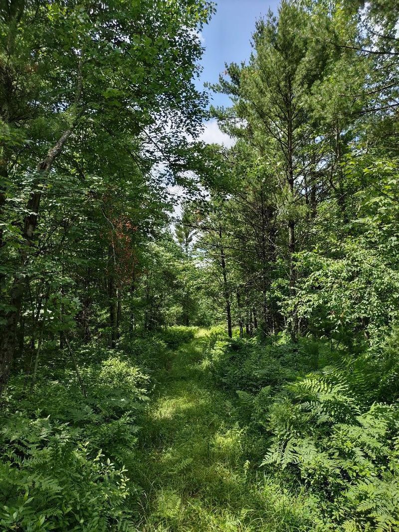 N8976 Flood Rd, Black River Falls, WI 54615
