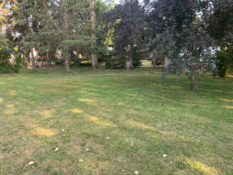 849 Mcdermott Ave, Kandiyohi, MN 56251