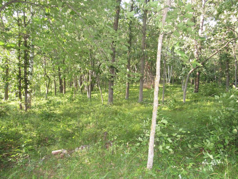 TBD Clough Rd, Pine River, MN 56474