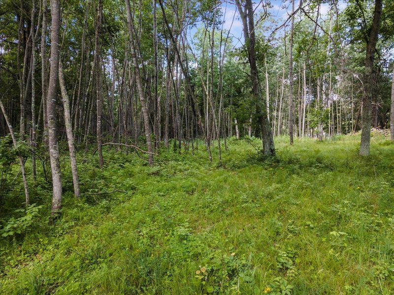 TBD Wild Wings Way, Nisswa, MN 56468