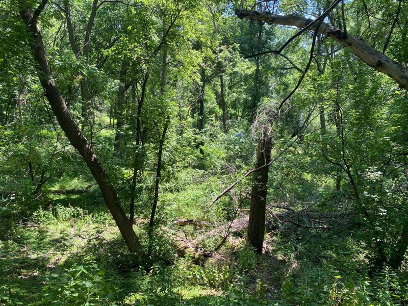0 Arcade St, Little Canada, MN 55109