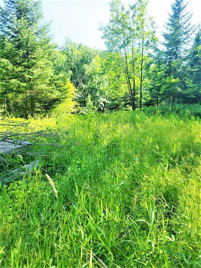 1101 County Road 89, Baudette, MN 56623