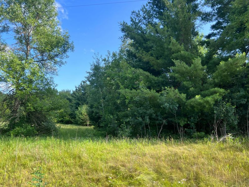 16 Acres Tbd Co 38 Rd Northwest, Walker, MN 56484