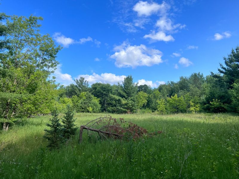 16 Acres Tbd Co 38 Rd Northwest, Walker, MN 56484