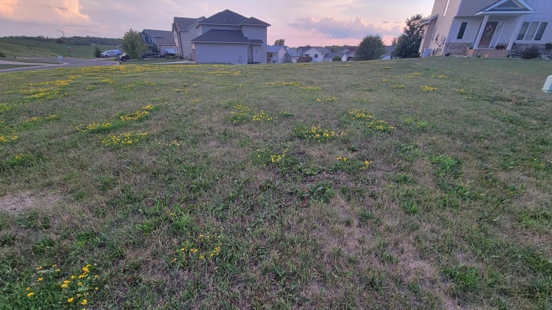 1000 Harvest Dr SW, Lonsdale, MN 55046