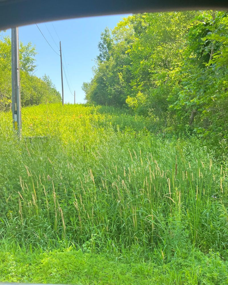 XXX County Rd O, River Falls, WI 54022