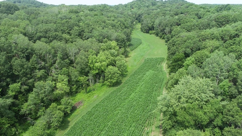 0 County Road Vv, Independence, WI 54747