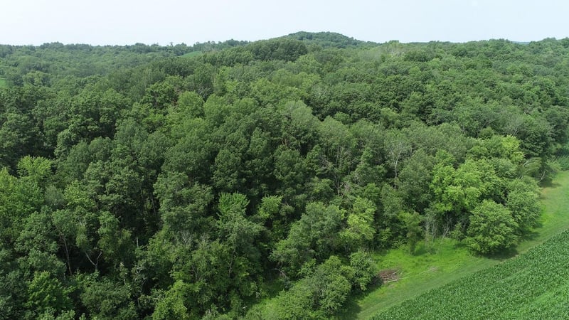 0 County Road Vv, Independence, WI 54747