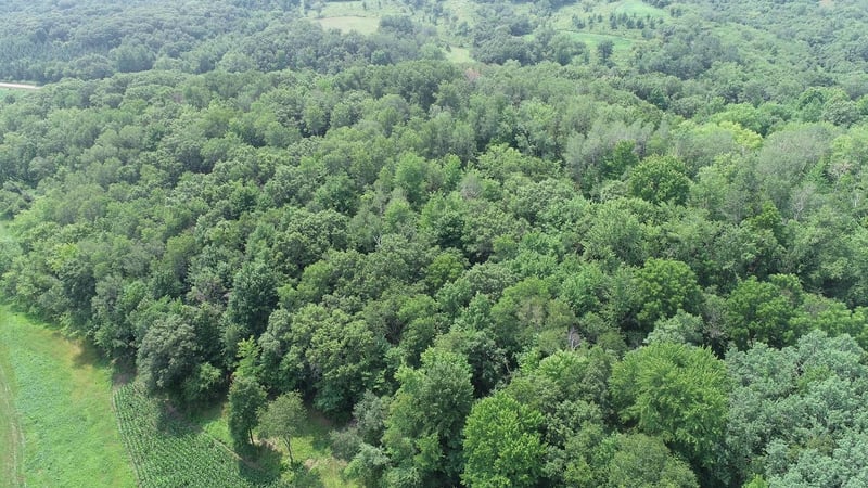0 County Road Vv, Independence, WI 54747