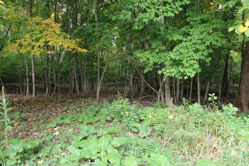 36391 County Highway 35, Dent, MN 56528