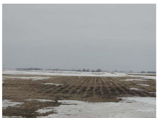 290 Street, Ellsworth, MN 56129