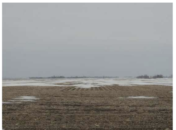 290 Street, Ellsworth, MN 56129