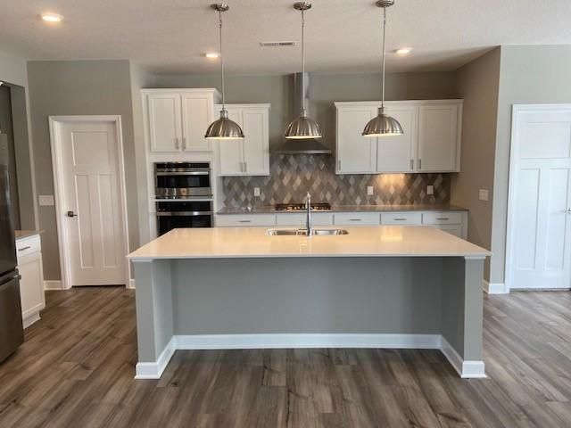 20034 Grassland Way, Maple Grove, MN 55311