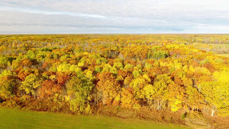 NA 370th Ave St, Sandstone, MN 55072