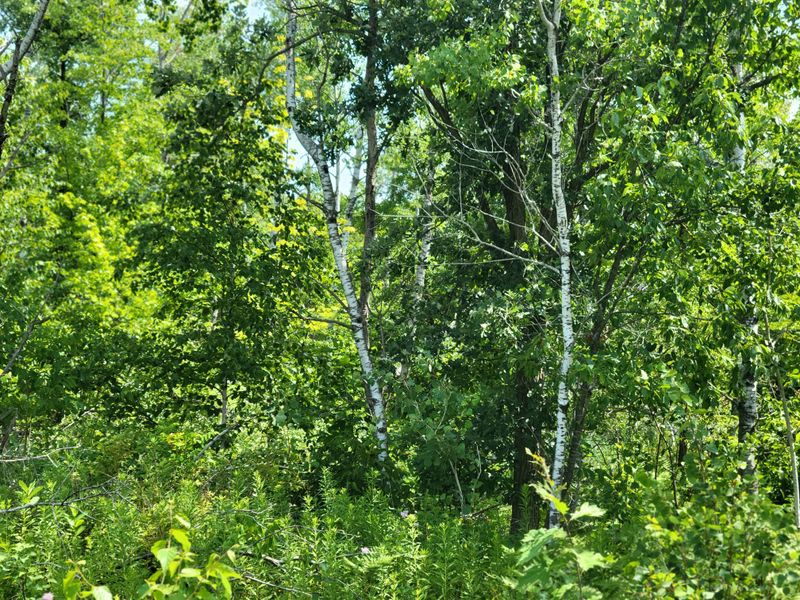 1608 30th St, Turtle Lake, WI 54889
